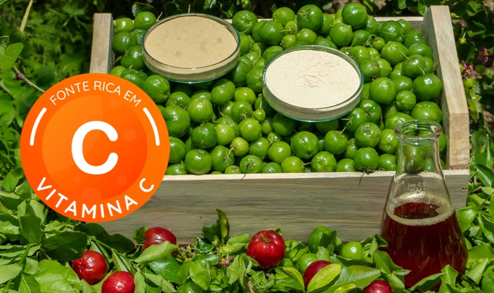 acerola-em-po-vitamina-c