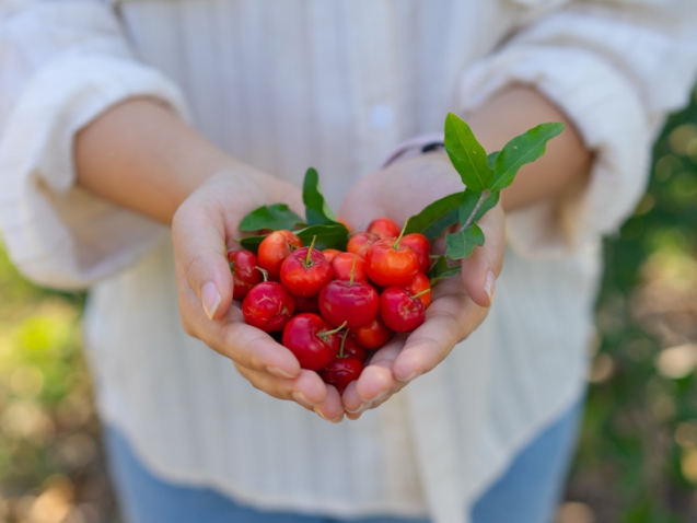 acerola-fruta
